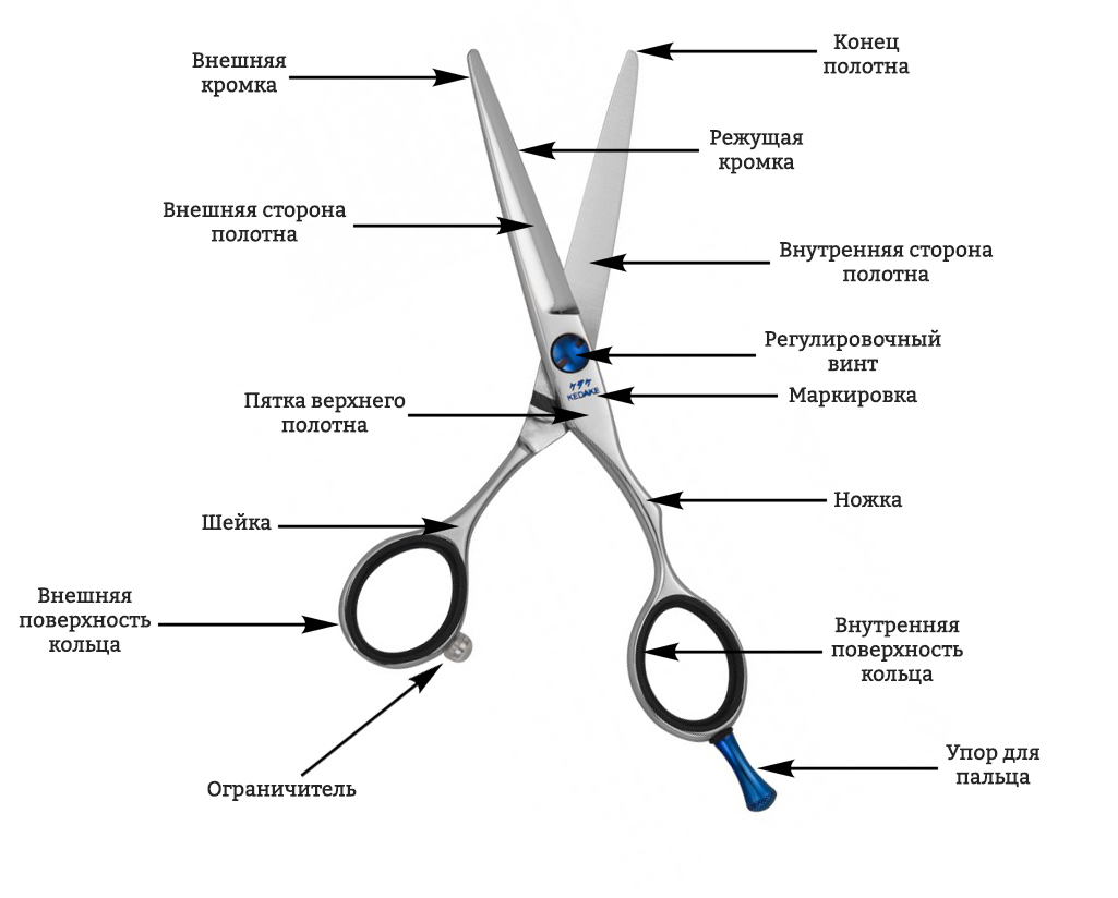 Как выбрать профессиональные ножницы для парикмахера